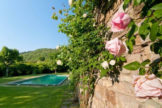 Villa Organi Vaiano  Exteriér fotografie